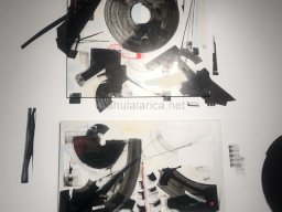 Exposición de Mutantes 2022